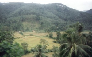 Terrassenanbau der Reisfelder